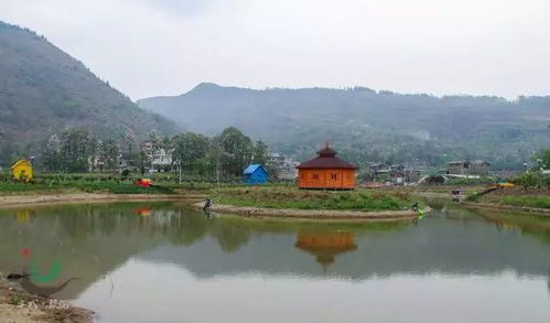六盤水首家玫瑰主題莊園 法墨玫瑰莊園