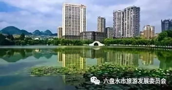 風(fēng)格迥異的六盤水橋梁,你走過(guò)幾個(gè)