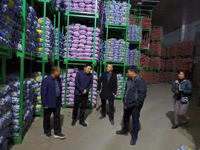 祥符區仇樓鎮:&ldquo;小蒜頭&rdquo;帶動富民&ldquo;大產業&rdquo;