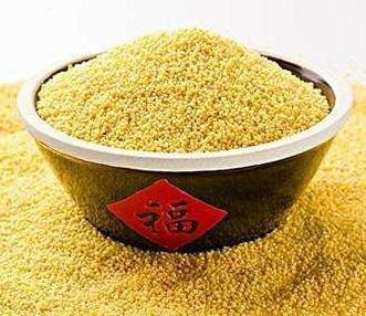 成都小米市場價 雙流區(qū)棲博食品商貿(mào)部 綠豆