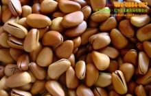 大量批發(fā)堅果炒貨特級東北野生松子、開口松子原味松子(大顆粒)_松子_干果炒貨_產(chǎn)品庫_口口可休閑食品網(wǎng)_中國休閑食品貿(mào)易網(wǎng)站_中國休閑食品供應(yīng)商首選電子商務(wù)網(wǎng)站